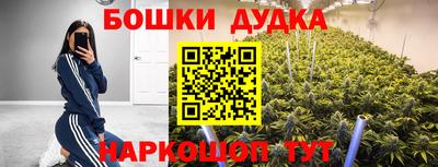 PSILOCYBIN Севастополь