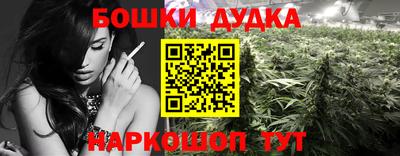 PSILOCYBIN Севастополь