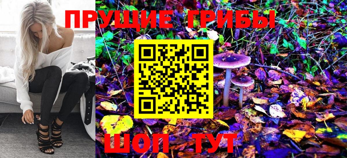 Павловский Посад  Галлюциногенные грибы Cubensis  Вход с VPN 